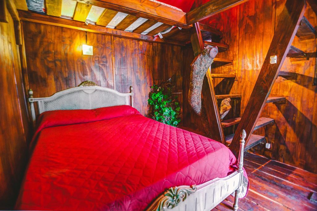 F&F Hostel Punta del Este Room photo
